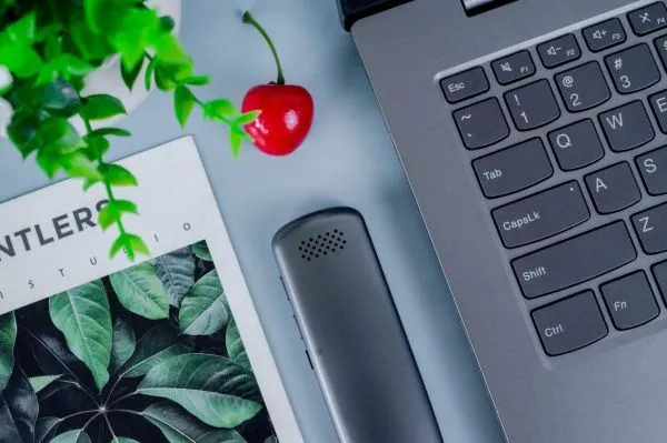 Ntau hom lus txhais lus scantalker